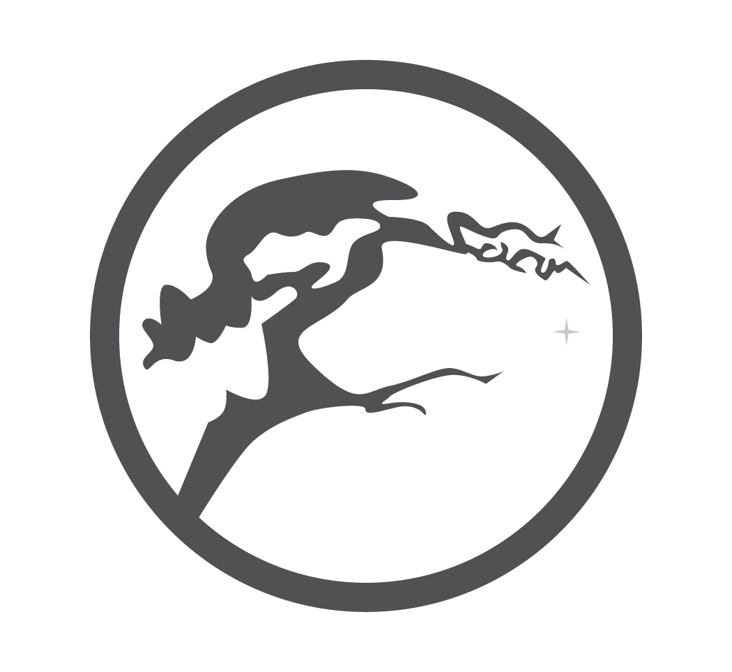 STICHTING FILOSOFIE EN MEDITATIE logo